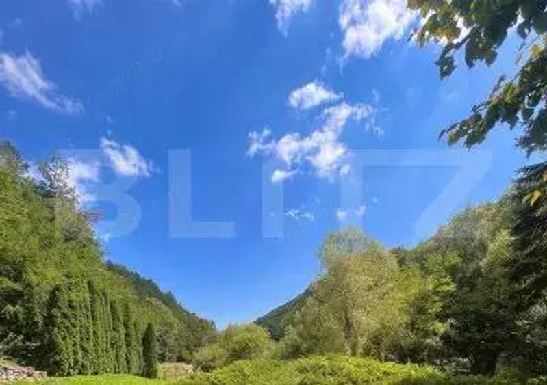 Casa de Vacan?a pe Valea Ighielului 3 camere, 2500 mp curte - 5