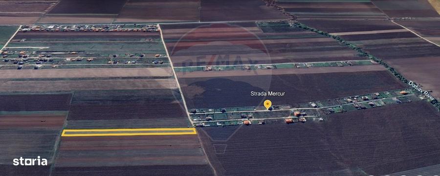 Teren Investitie 6300mp Sacele - 10m de Utilitati in Raza Soarelui - 2