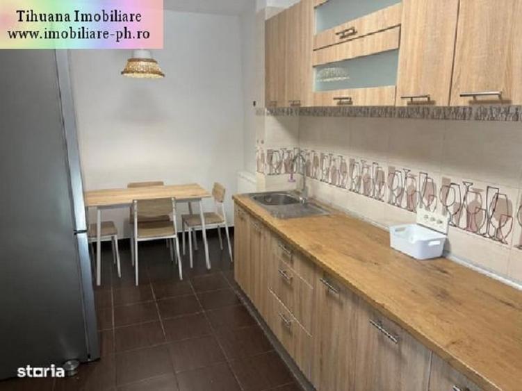 Vila P+1 de inchiriat: Central(str.Valeni) - 7