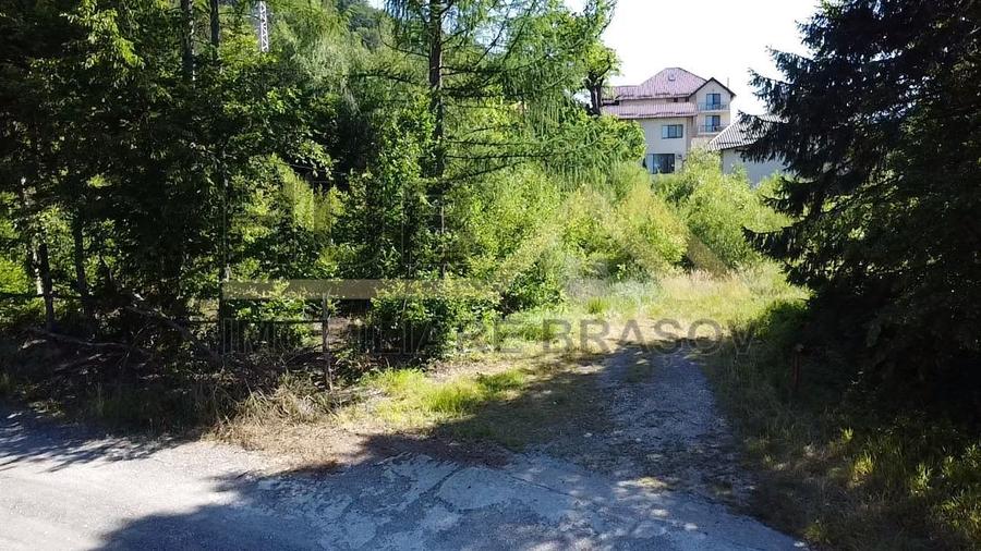 Oportunitate Investitie Teren Dambu Morii | Necesar PUD | Utilitati | 4.800mp - 7