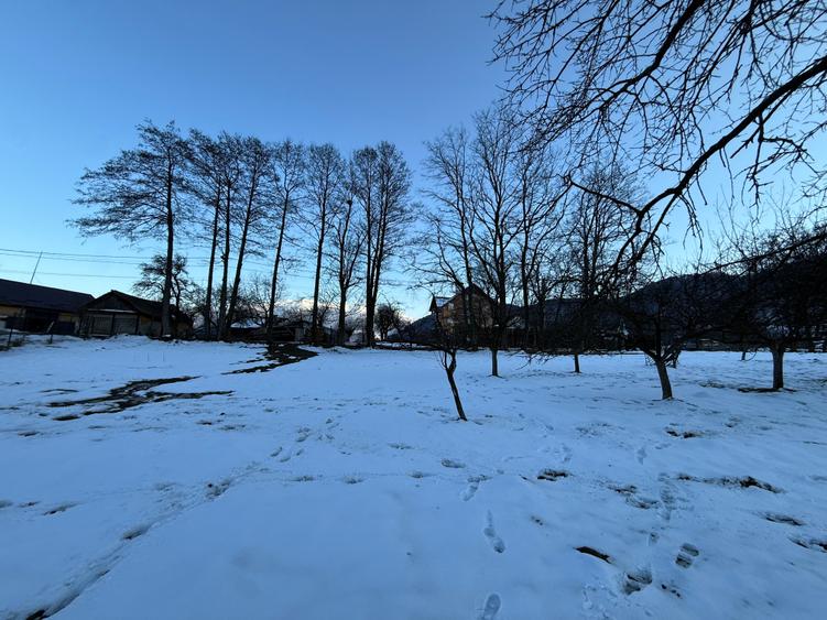 Teren intravilan 763 mp in zona Bran-Tohanita,judetul Brasov - 10