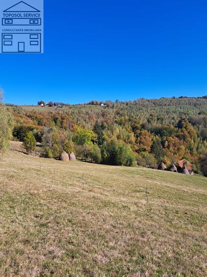 Teren extravilan in localitatea Bulz - 15