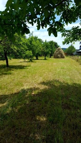 Teren intravilan împrejmuit 2331 mp la strada, toate utilitățile! - 1