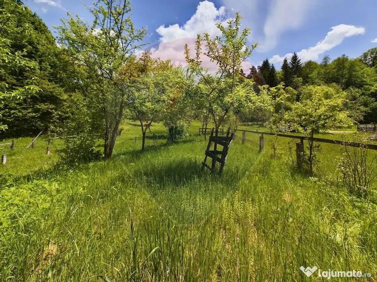 Comision 0%! Proprietate in natura, priveliste superba, S... - 16