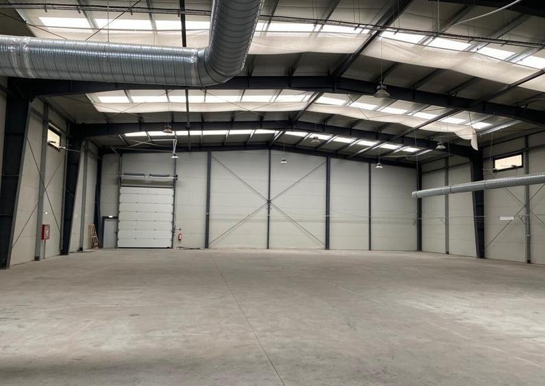 Spatiu de depozitare si productie Mogosoaia - 11