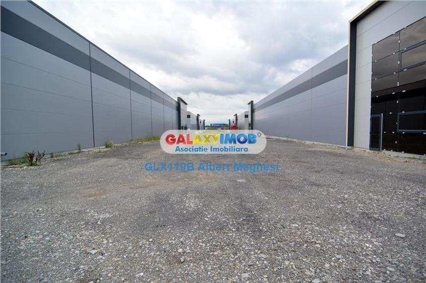Vanzare Spatiu Depozitare/Hala Centura-Mogosoaia - 5