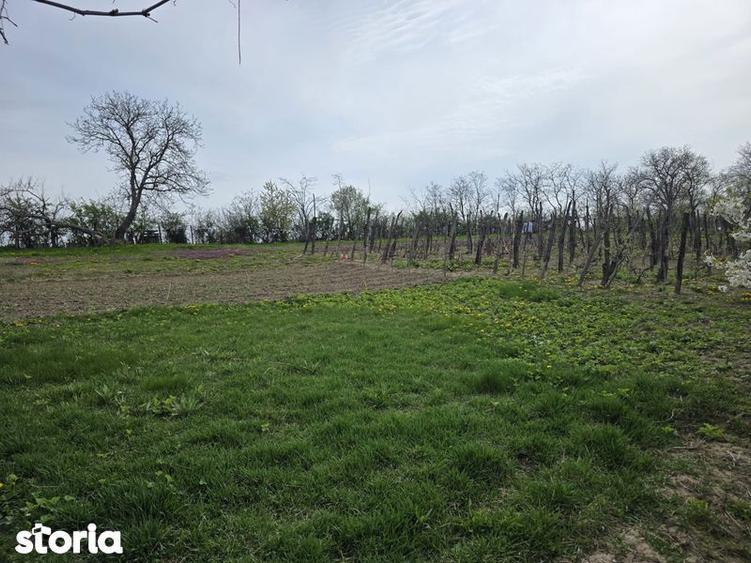 Casă cu 3 camere cu Teren 70 Mp în Secuieni