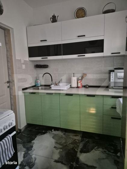 Casa renovata de vanzare in zona centrala, 400 mp teren - 7