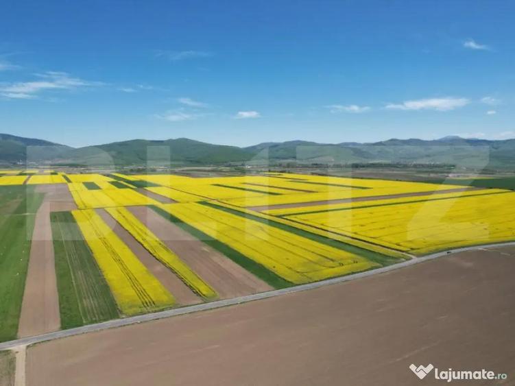 Teren extravilan, 17700mp, zona Prejmer - 5