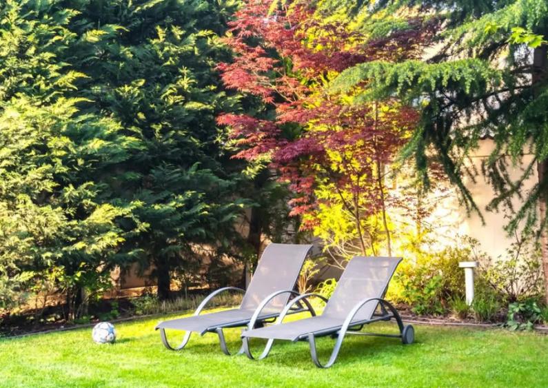 Vila Theodor Pallady de vanzare - O proprietate care va dep - 7