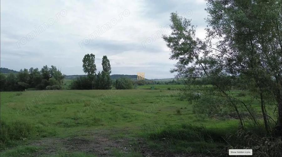 Teren 3953 mp Falticeni Tarna Mare De Vanzare 0727817187 - 5