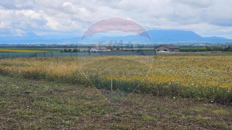 Teren Bod Strada Brasovului - 4