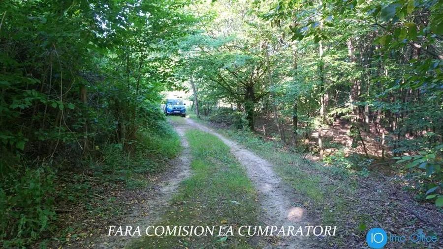TEREN 6700 MP, INTRAVILAN LANGA PADURE - 6