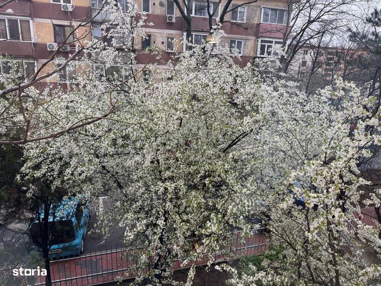 Muncii Ion Tuculescu apartament cu 2 camere de inchiriat - 8