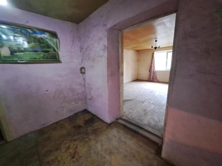 RECO  casa batraneasca Salard - 15