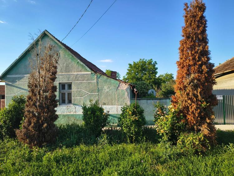 Casa de vanzare - 7