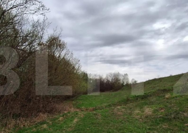 Oportunitate!!!! TEREN EXTRAVILAN CU SUPRAFATA DE 12500 MP - 5