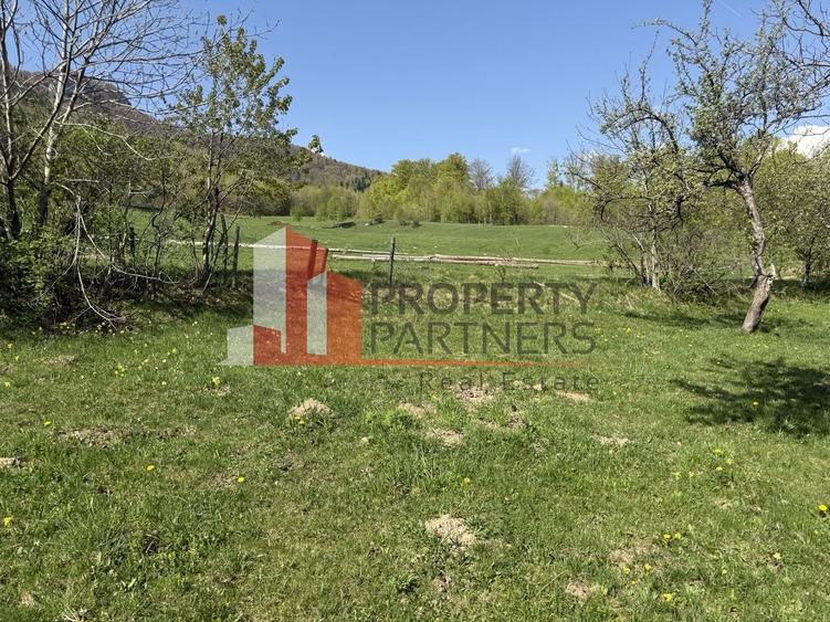 Terenuri Bran - Predelut  Priveliște către Bucegi și Postăvaru - 6