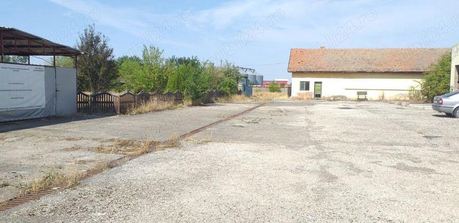 Vand hale frig (1200 mp)+teren intravilan 6400 mp (3000 curte betonata) in Carani (intre TM si AR ) - 12