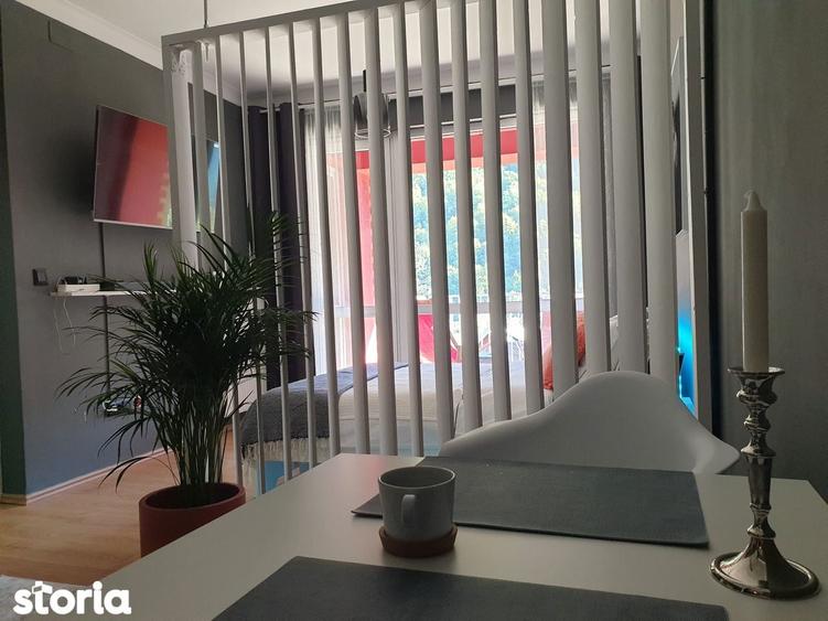 Studio de Lux, Sinaia + Parcare Exterioara GRATIS intabulata - 6