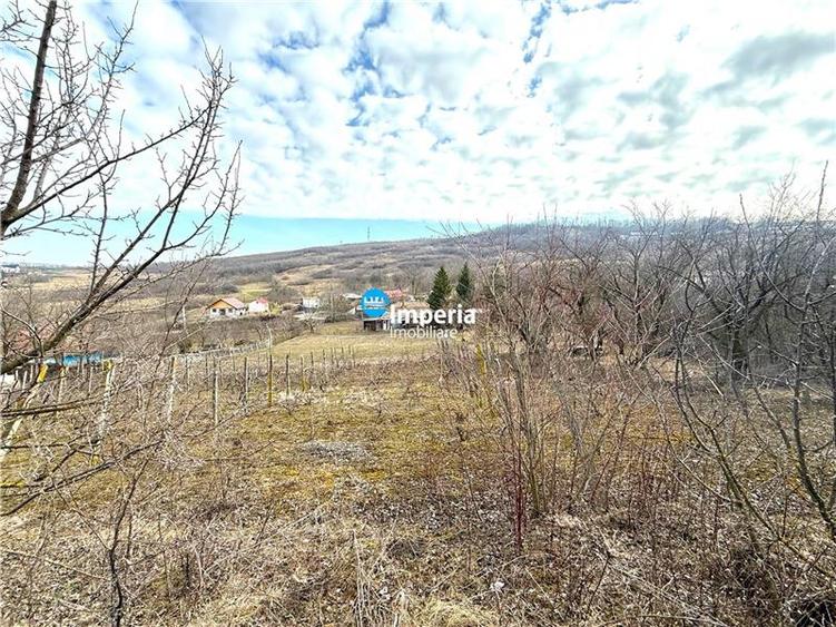 Teren intravilan 4800 mp, investitie,  utilitati complete, Dancas Miroslava - 3