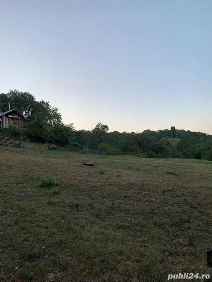 teren intravilan comuna izvoarele sat homoraciu prahova - 4