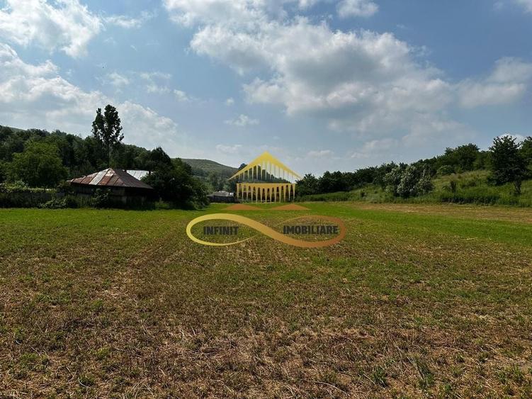 Casa batraneasca cu 2ha de teren de vanzare in sat Balaia / Bacau - 15