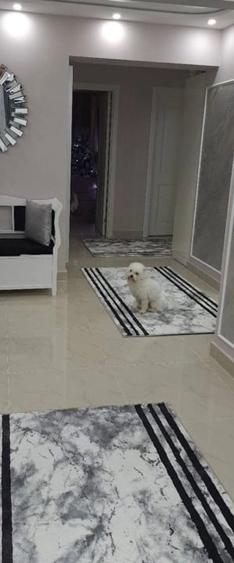 3 Camere Decomandat 83mp Renovat Mobilat bloc 1990 zona Selgros Cug - 6