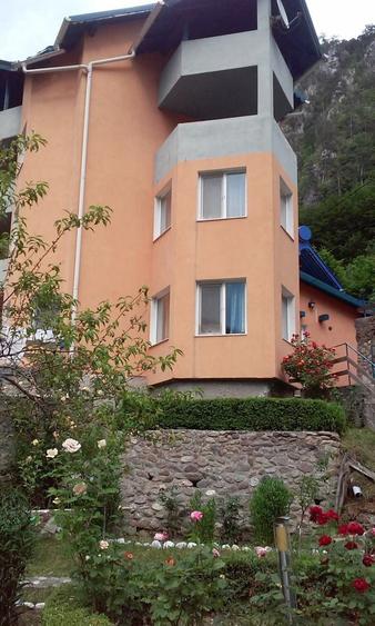 Vila de vanzare pe valea Cernei, langa Baile Herculane - 1