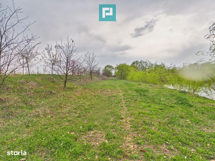 Teren 1 ha cu balta populata Alios (Masloc) - 5