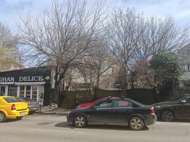 MARESAL AVERESCU || CLUCERULUI || TEREN INTRAVILAN IDEAL DEZVOLTARE. - 1