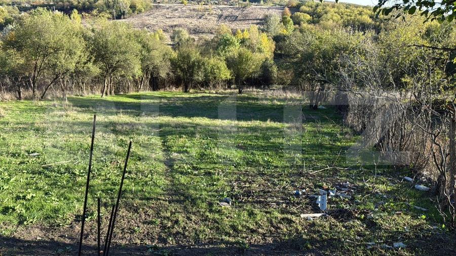 Teren intravilan, minim 2000 mp, front 20 ml , Fratostita, Filiasi - 4