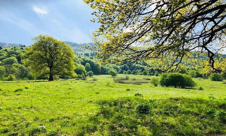 TEREN POTENTIAL TURISTIC - Rasnov - Cheisoara - 1