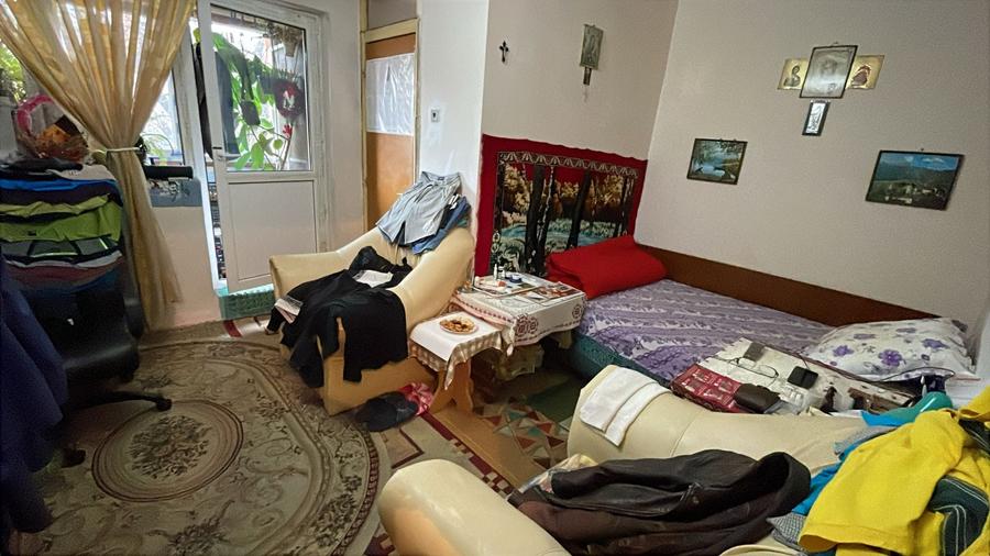 Colentina Teiul Doamnei - 1