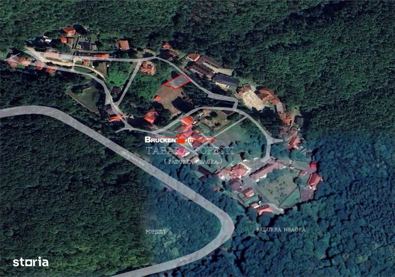 Teren Padurea Neagra - sat vacanta | 370 mp - 1