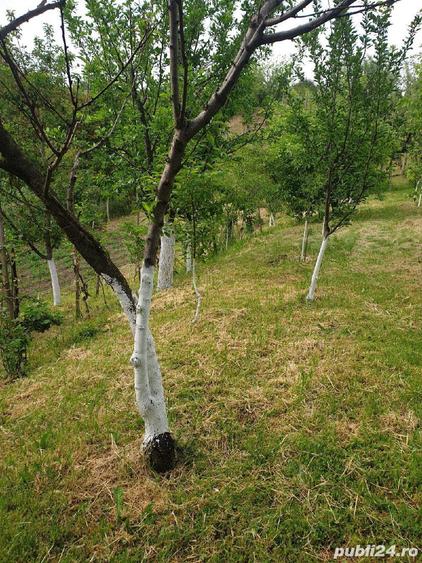 casa in Orevita Mare - 1