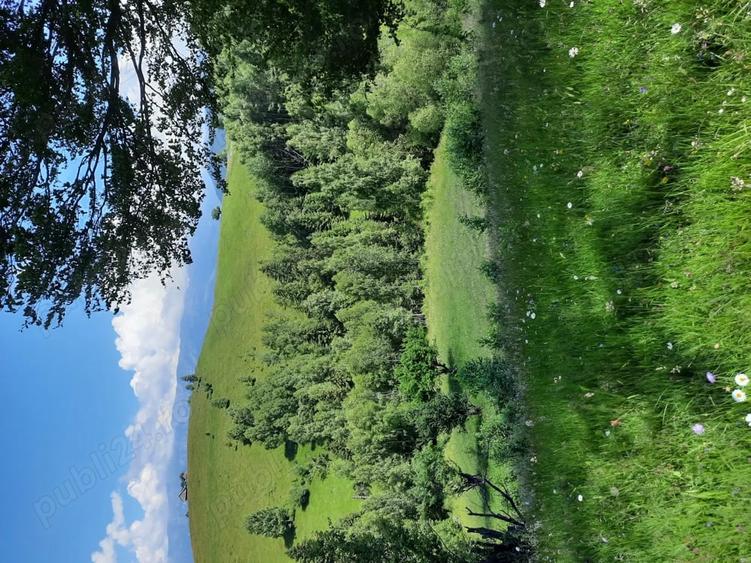 Teren de 40000 mp, în Șirnea