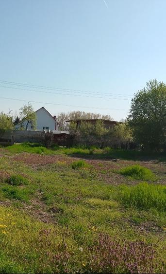 Vând teren  intravilan sat Obedin comuna Breasta  - 1