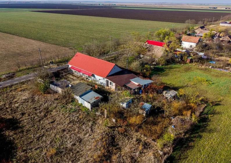 ???? Oportunitate Unica de Vanzare in Variasu Mare! ???? - 10