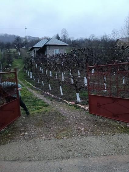 Casă de vânzare -locul unde "acasă"prinde contur - 2