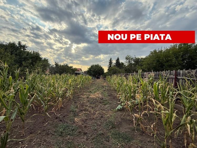 Casa cu trei camere avand 90mp suprafata utila, 1.200 mp teren, in zona Mehala - 1