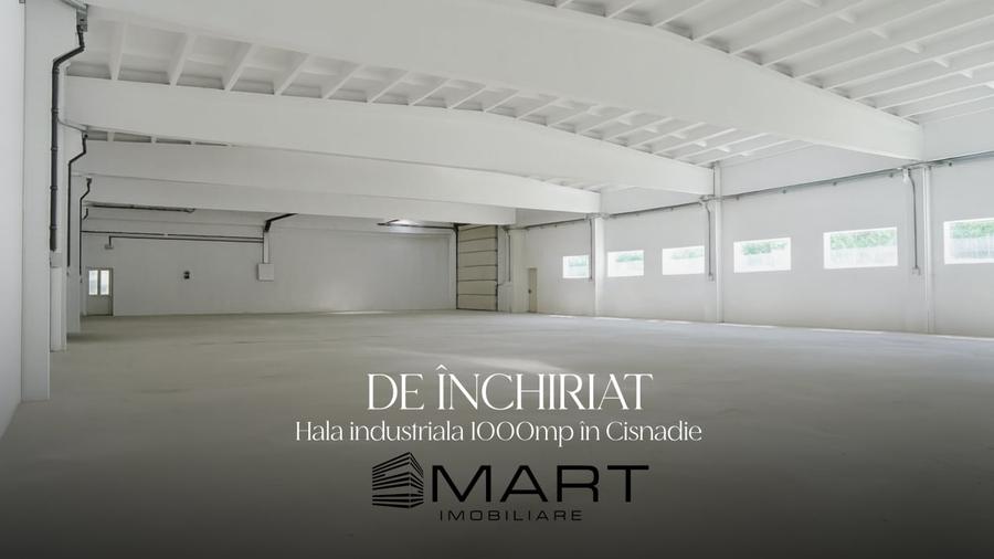 Hala industriala acces TIR, 1000mp Cisnadie - 1