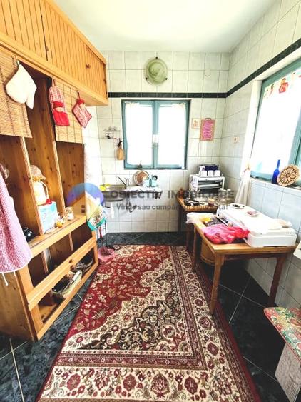 CASA comuna ALEXANDRU CEL BUN - VADURELE - 4