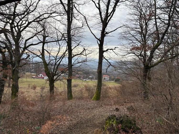 Teren Sisesti la soseaua principala ,langa pensiunea Madlene ,1 ha - 1