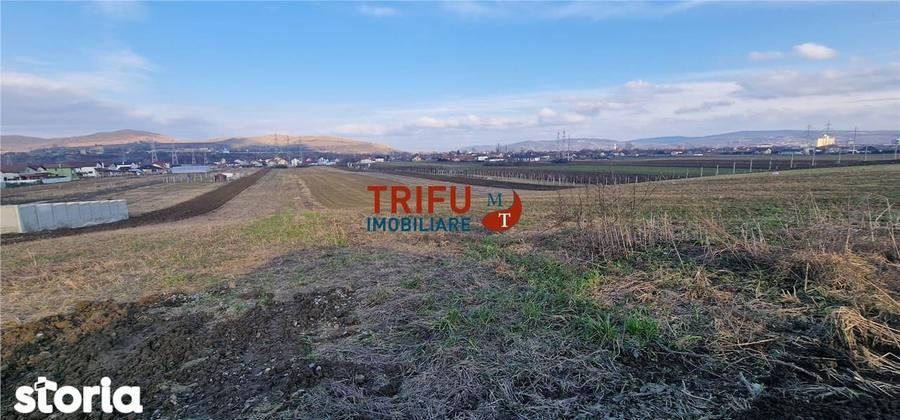 Teren de vanzare Zona Barabant! - 5
