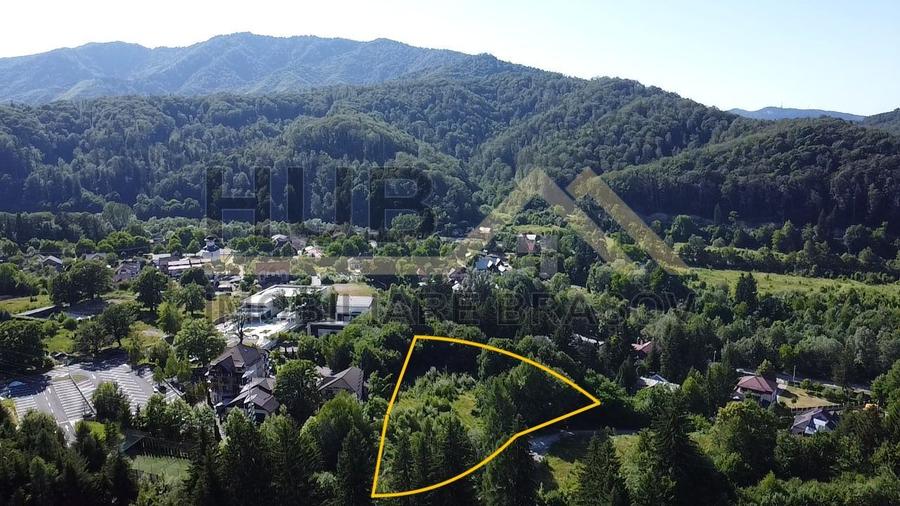 Oportunitate Investitie Teren Dambu Morii | Necesar PUD | Utilitati | 4.800mp - 1