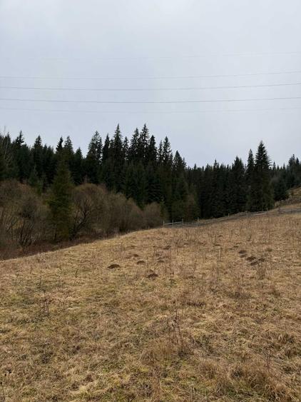 Teren Intravilan Vatra Dornei - 2833 mp - 1