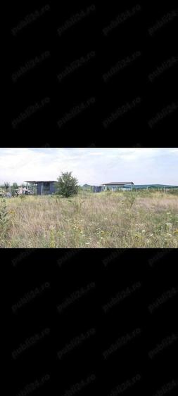 Teren Mo?ni?a Noua -Urseni de vanzare - 9