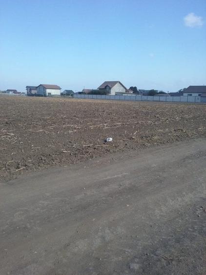 Exclusiv! Teren intravilan 6.100 mp - Cumpana - 29 euro/mp  (Cod E3) - 8