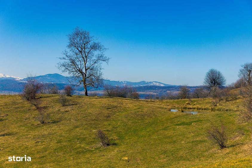 Teren 6 Hectare cu PUZ pentru Resort Turistic panorma Muntii Piatra Cr - 8